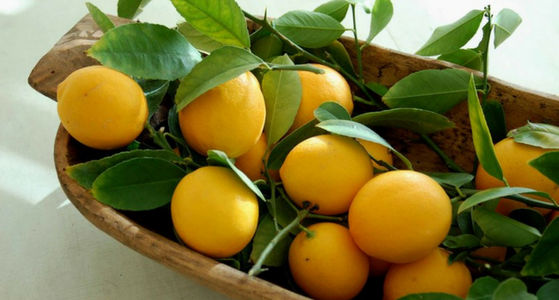 9 Lemons In A Bowl Use and Significance